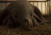 Dumbo – REVIEW