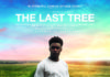 The Last Tree – REVIEW
