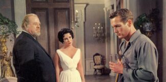Look who’s directing the Cat on a Hit Tin Roof remake…..
