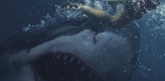 ‘Great White’ director Martin Wilson talks animatronic shark problems
