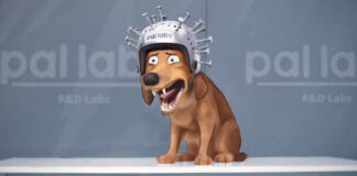 Will Ferrell & Jamie Foxx Strays film….