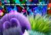 Trolls Band Together – TRAILER