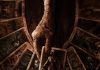 Tarot- TRAILER Tarot trailer - Spirits from the other side - I'm getting the word...