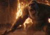Godzilla x Kong – The New Empire – REVIEW Godzilla x Kong - - Let's get ready to rumble!!!!