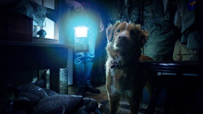 Good Boy - super dog against the supernatural
