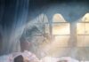 Predator director Dan Trachtenberg Sleeping Beauty film Predator director Dan Trachtenberg Sleeping Beauty film....