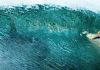 The Shallows- REVIEW