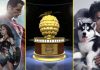 The winners of the Razzies 2017…….