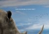 Trophy – REVIEW