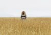 A Wrinkle in Time – REVIEW