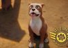 Sgt Stubby – An Unlikely Hero – REVIEW