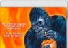 Schlock – REVIEW