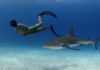 Sharkwater Extinction – REVIEW
