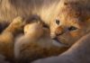 The Lion King – REVIEW