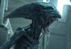 Alien 7 news…..