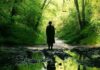 Men – TRAILER