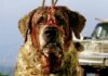 Cujo remake news Cujo remake - return of the rabid dog!