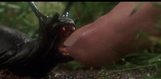 The worst killer animal movies ever!