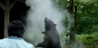 What’s the true story behind Cocaine Bear