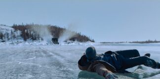 Trucker Liam Neeson returns …….