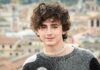 Timothee Chalamet IS Bob Dylan ! Timothee Chalamet heist film - and he reunites with .....