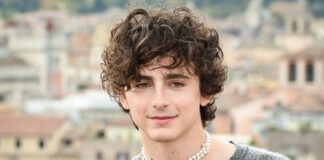 Timothee Chalamet heist film Timothee Chalamet heist film - and he reunites with .....