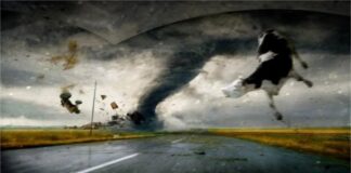 The Twister sequel