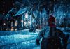 There’s Something in the Barn – REVIEW There’s Something in the Barn - A Norwegian Christmas actioner!