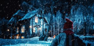 There’s Something in the Barn – REVIEW There’s Something in the Barn - A Norwegian Christmas actioner!