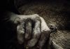 Baghead – TRAILER
