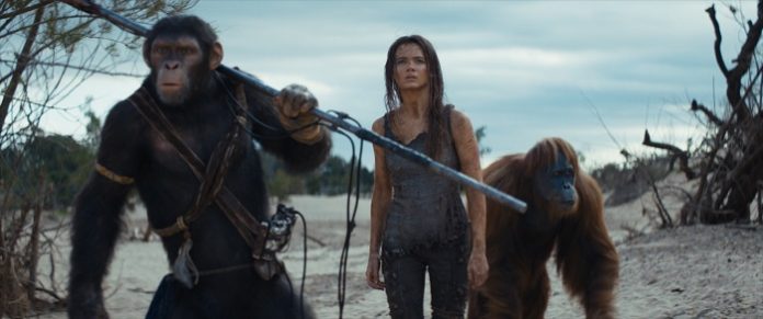 Kingdom of the Planet of the Apes - 4th film in the franchise reboot