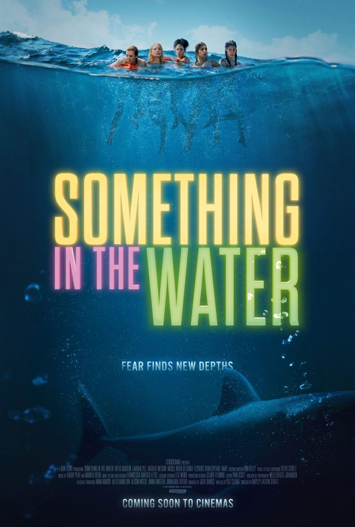 Something in the Water - Is it sharks? sewage? illegal immigrants?