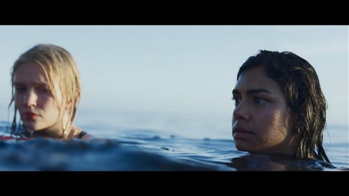 shark talk with Hiftu Quasem, Natalie Mitson & Hayley Street