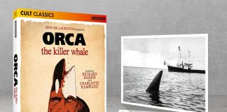 Enter our Orca Killer Whale giveaway Orca Killer Whale giveaway - Killer Whale out for revenge
