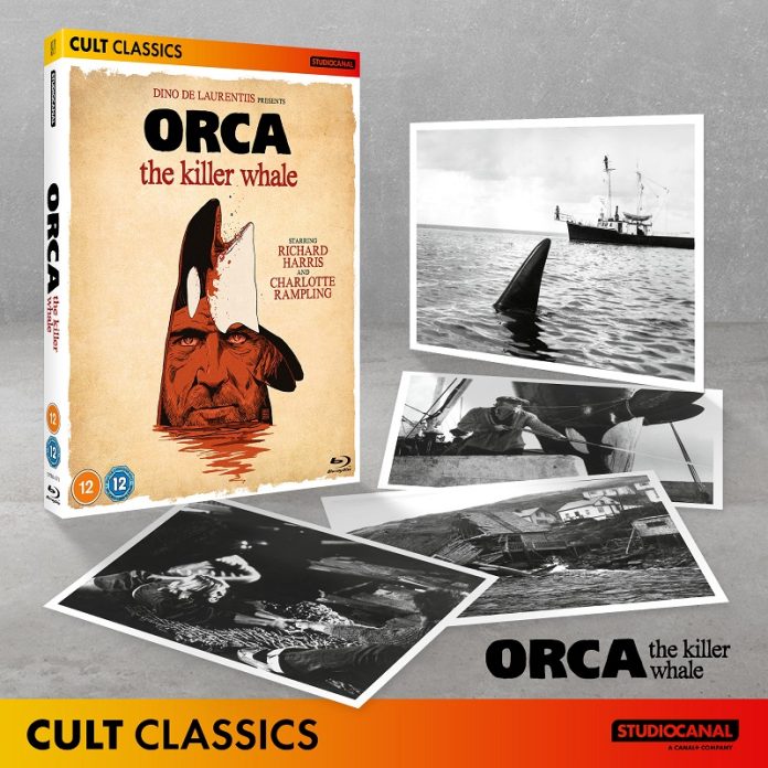 Orca Killer Whale giveaway - Killer Whale out for revenge