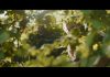 The Magic Faraway Tree – FIRST LOOK PHOTO The Magic Faraway Tree - FIRST LOOK PHOTO
