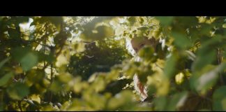 The Magic Faraway Tree – FIRST LOOK PHOTO The Magic Faraway Tree - FIRST LOOK PHOTO