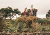 Harvest – TRAILER Harvest trailer - seven hallucinatory days, a village with no name!