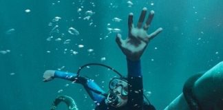 Whalefall – TRAILER Whalefall trailer - find yourself in the belly of the beast!