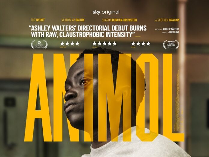 Animol - the directorial debut of Ashley Walters