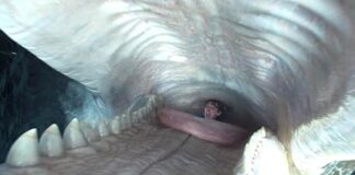 How they filmed inside the Whalefall whale….. Whalefall whale..... Here's how they filmed inside its stomach